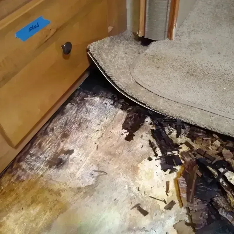 Wood Floor Water Damage in Trumann, AR